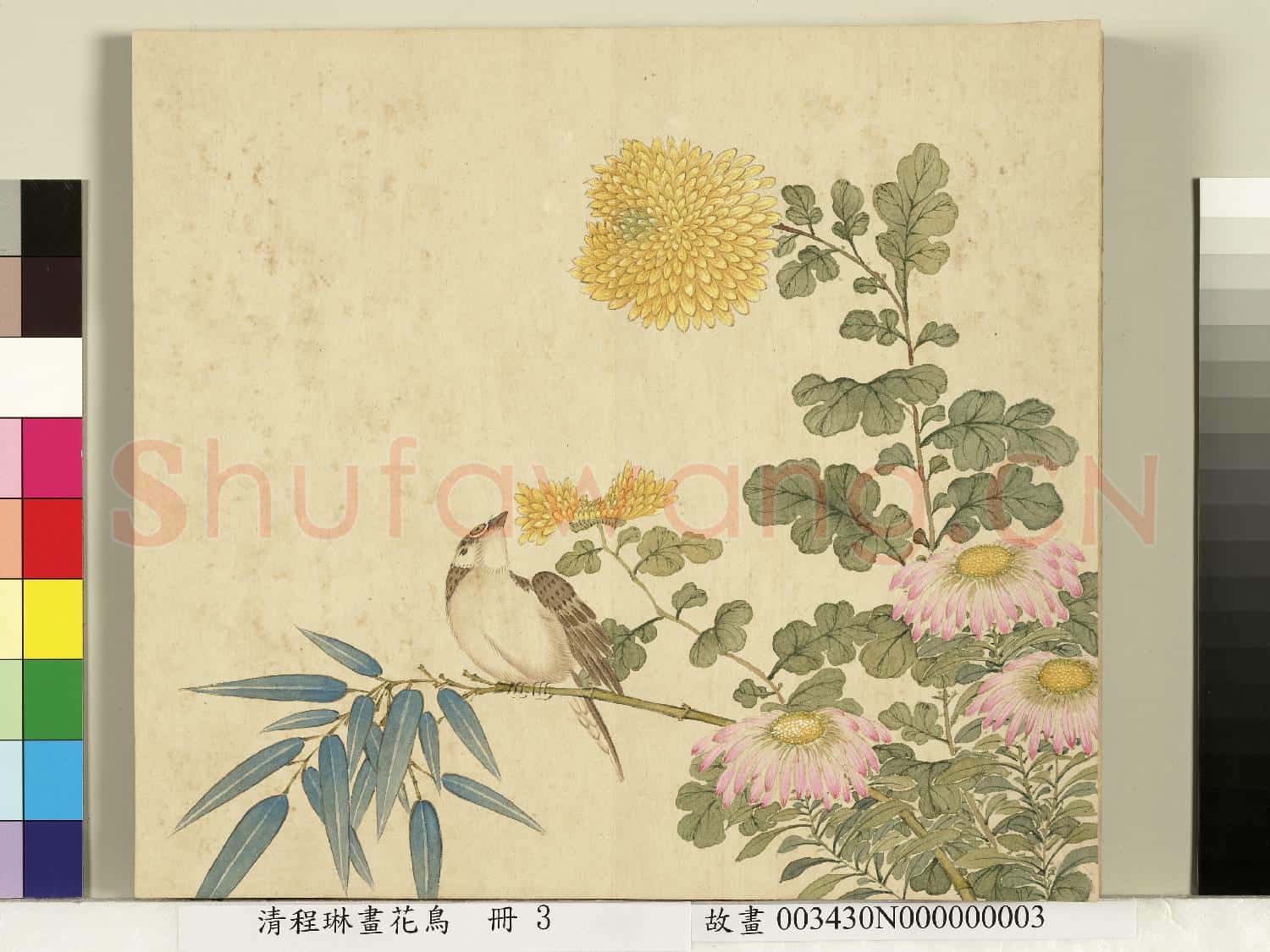 清程琳畫