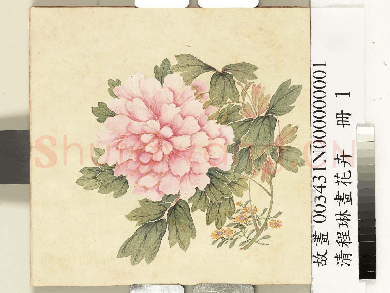 清程琳畫