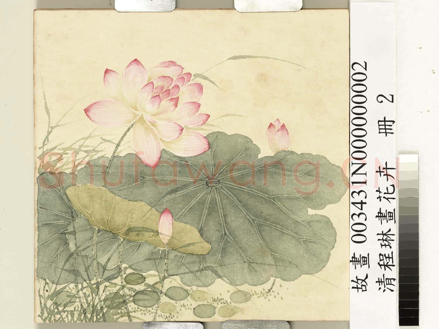 清程琳畫