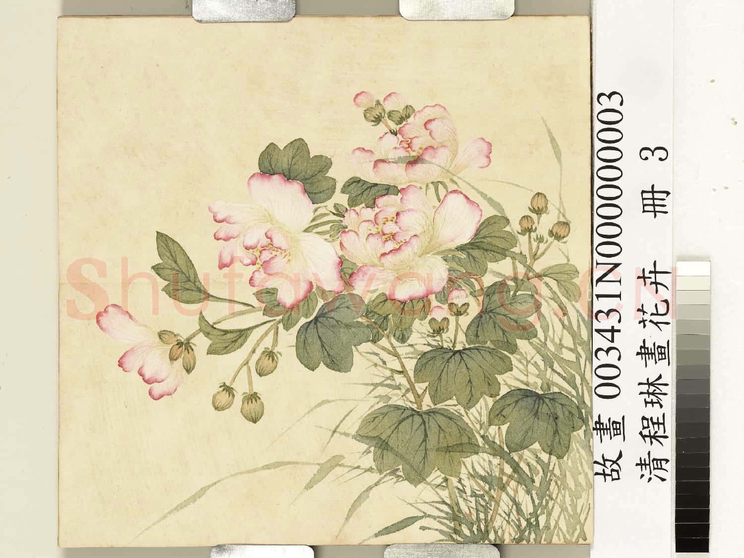 清程琳畫
