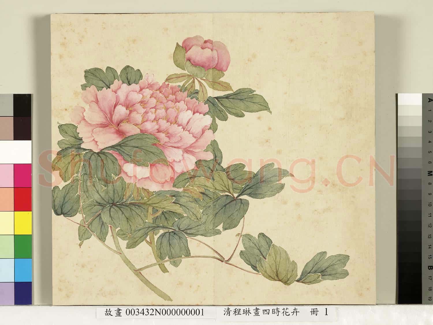清程琳畫