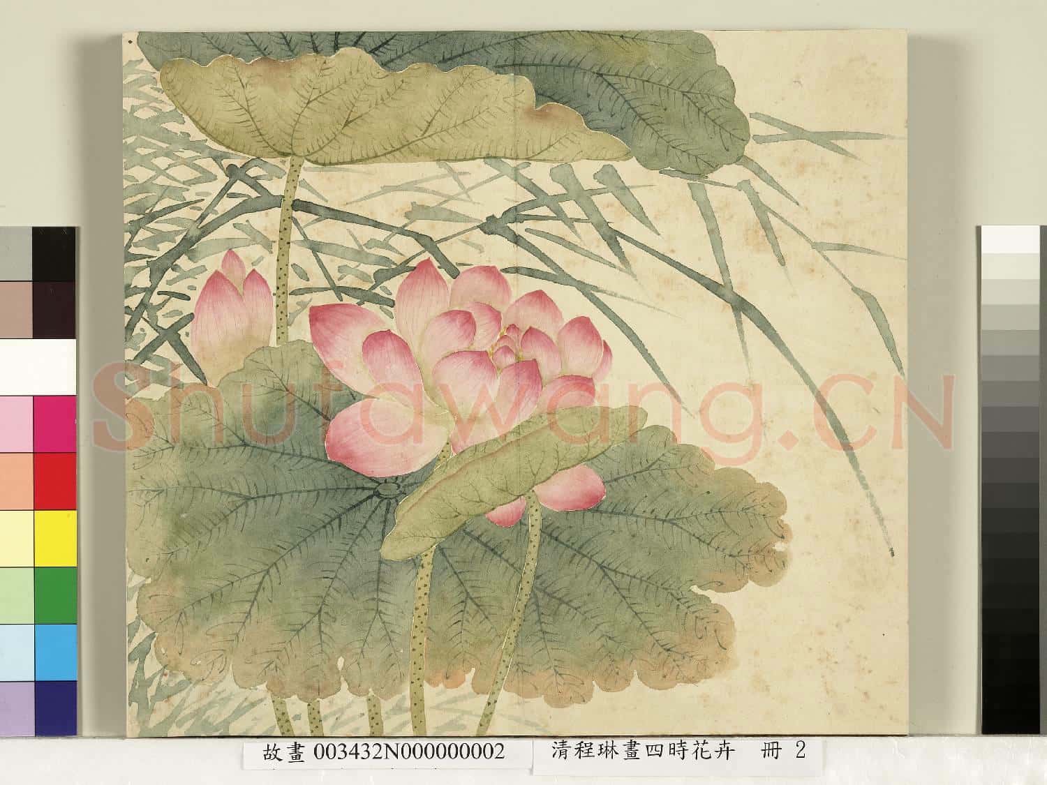 清程琳畫