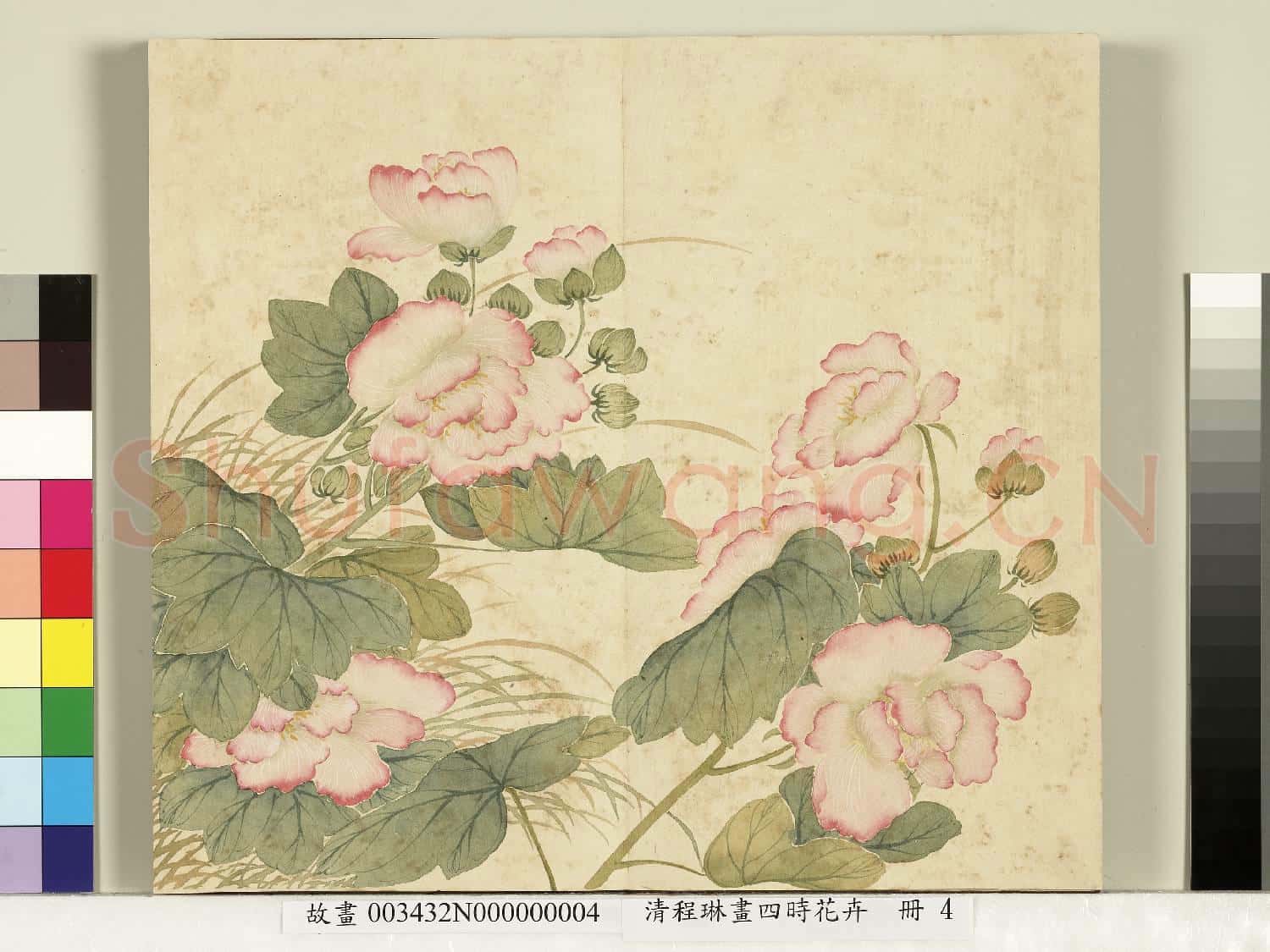 清程琳畫