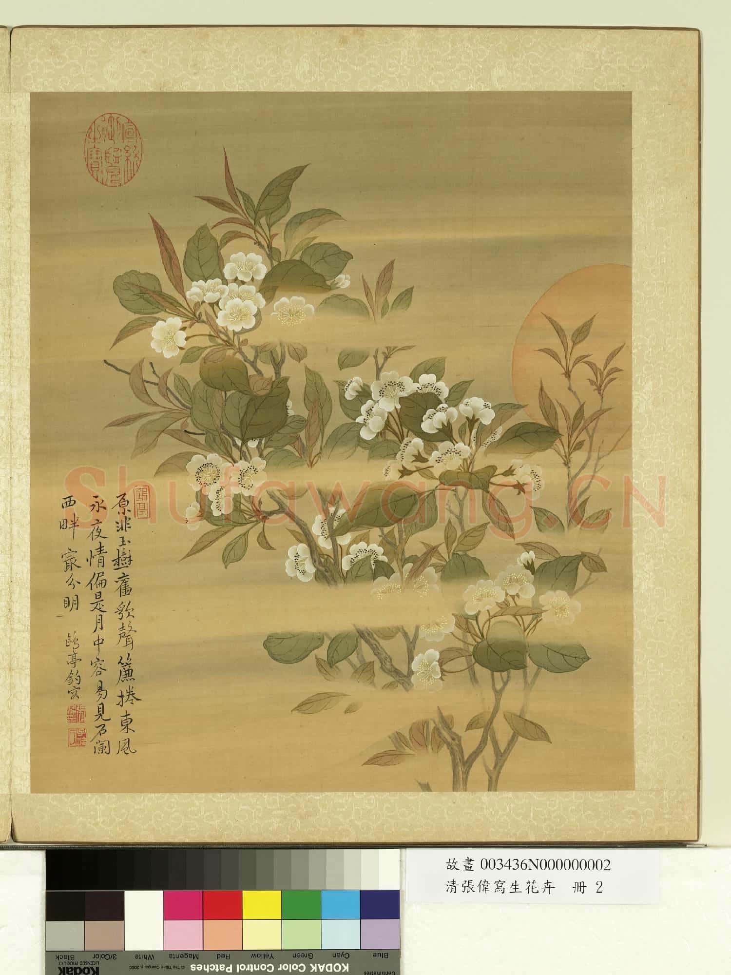 清張偉寫生花卉.冊.梨花故畫
