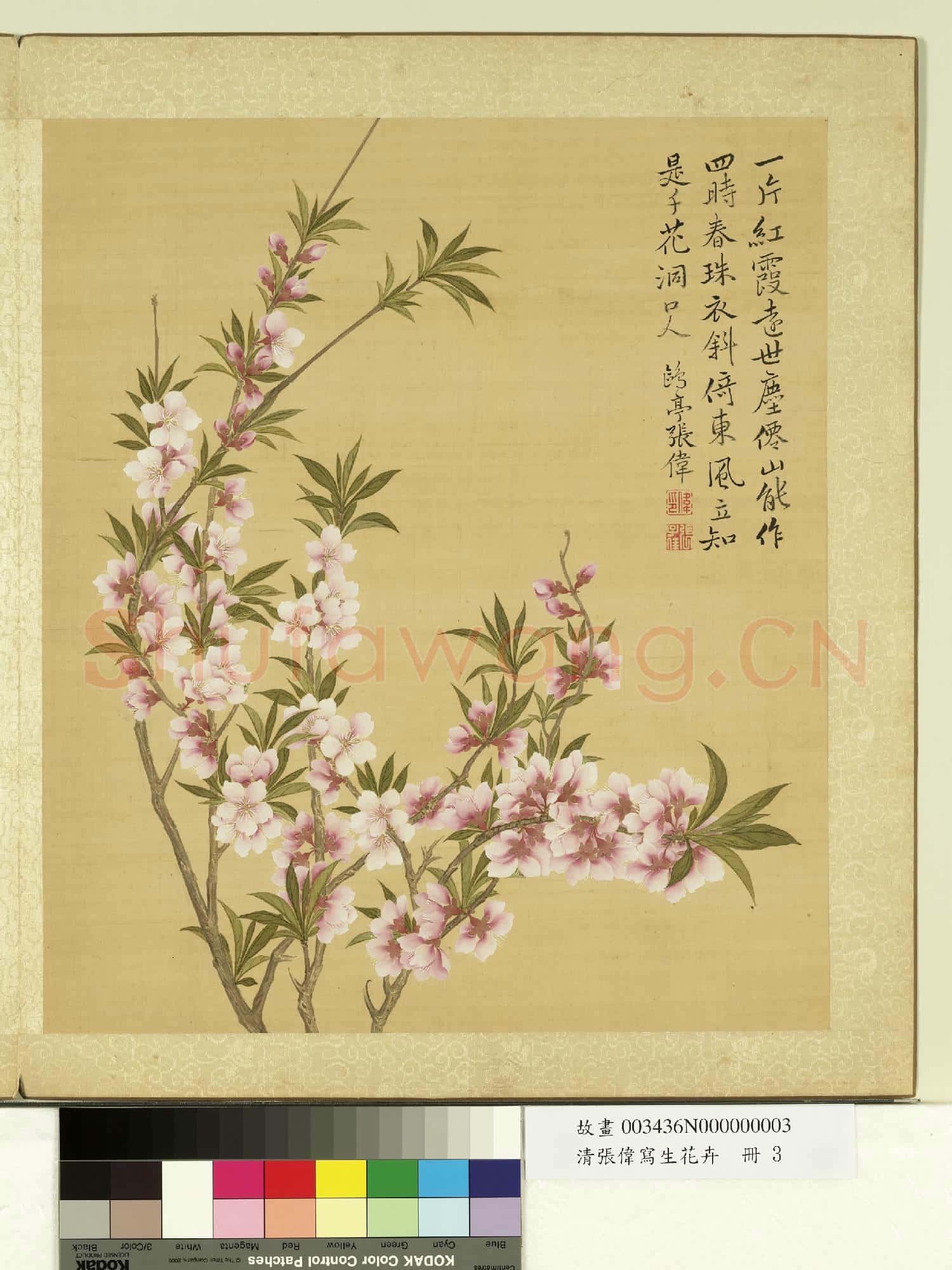 清張偉寫生花卉.冊.桃花故畫