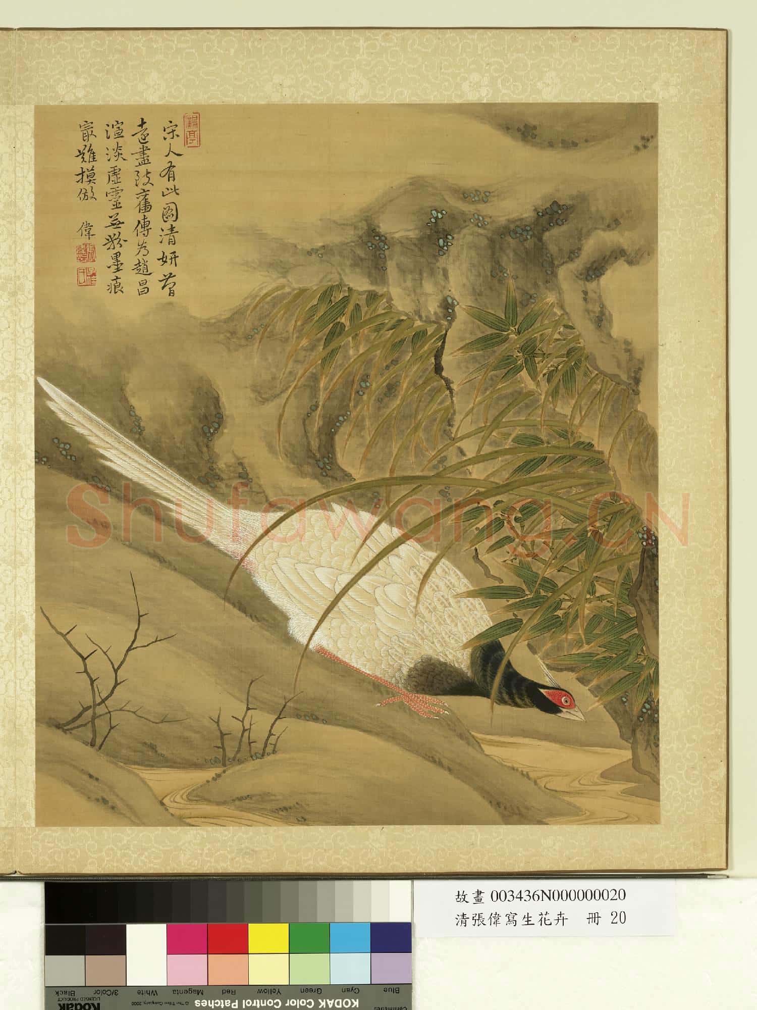 清張偉寫生花卉.冊.竹石山雞故畫