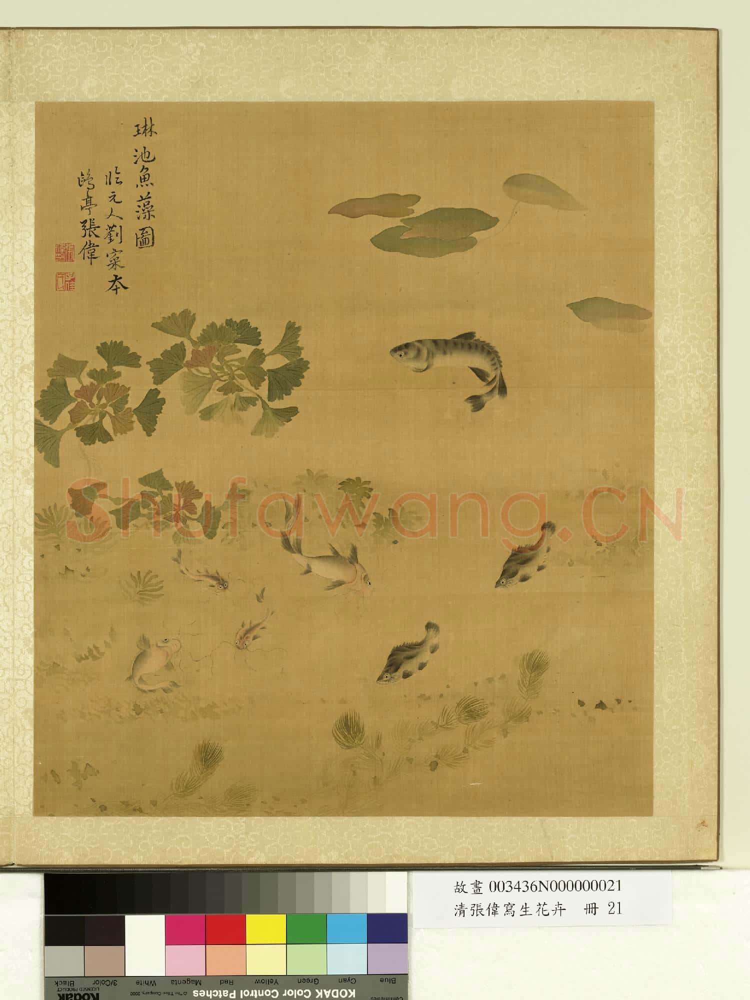 清張偉寫生花卉.冊.魚藻故畫