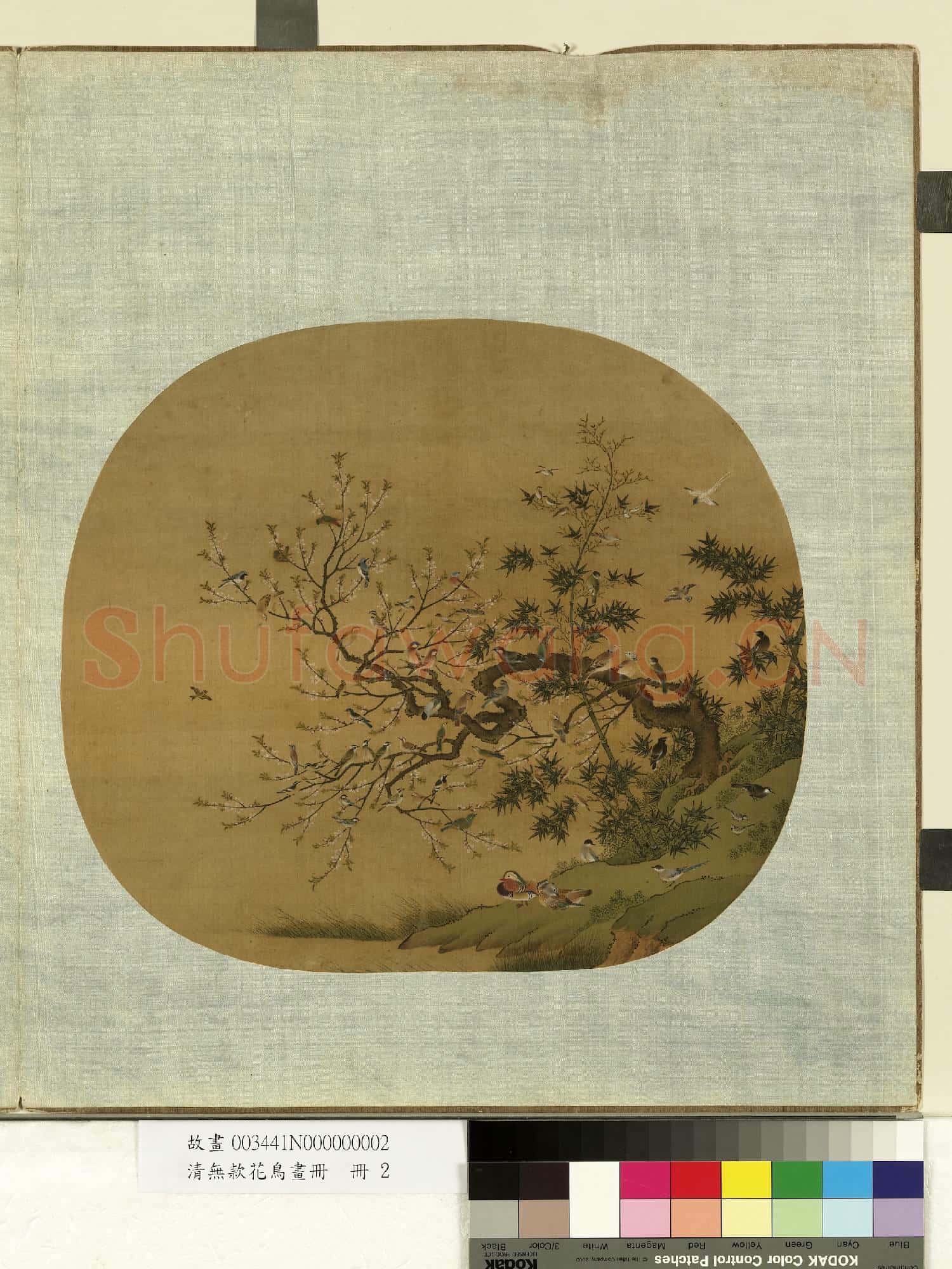 清無款花鳥畫