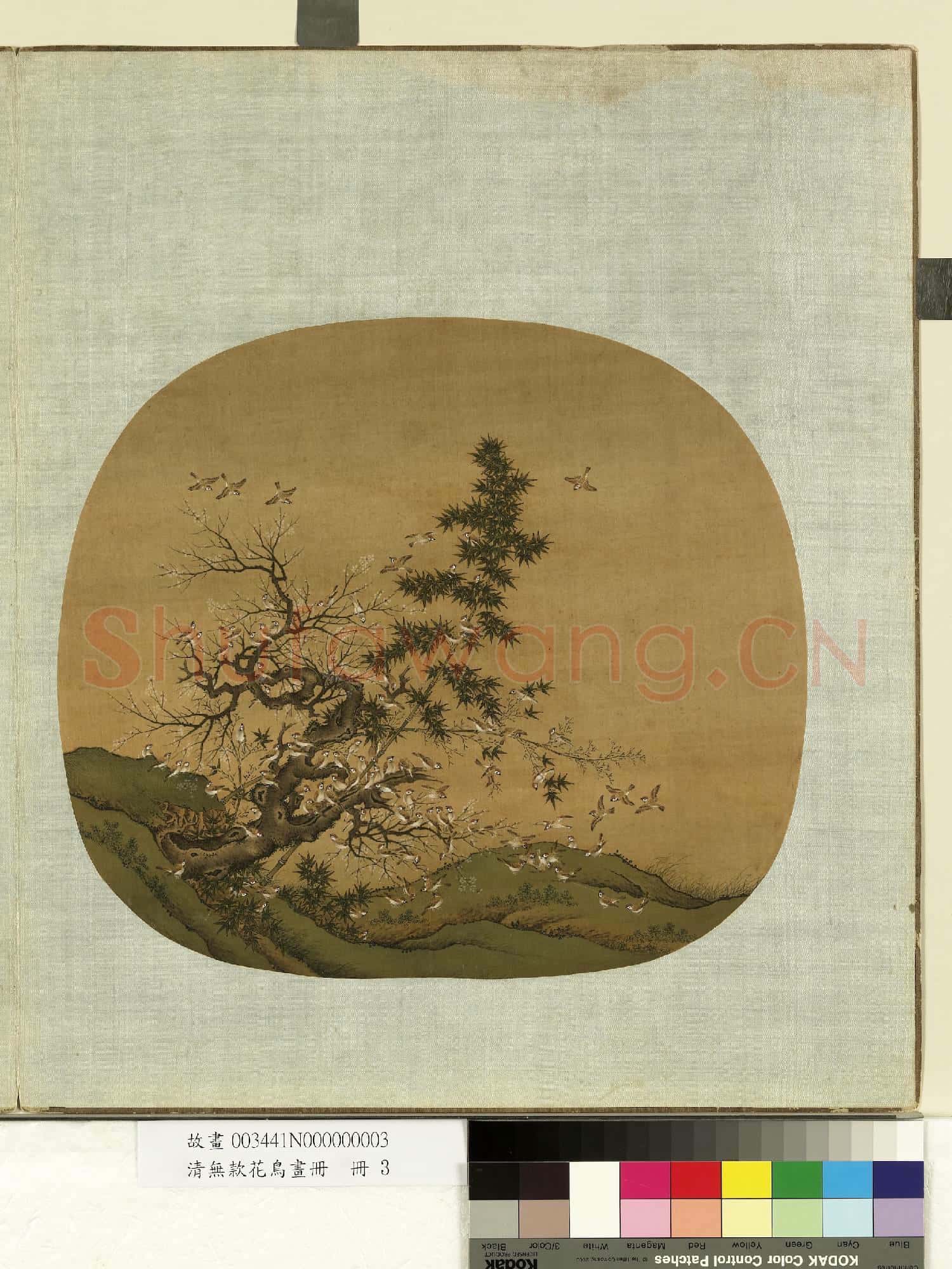 清無款花鳥畫