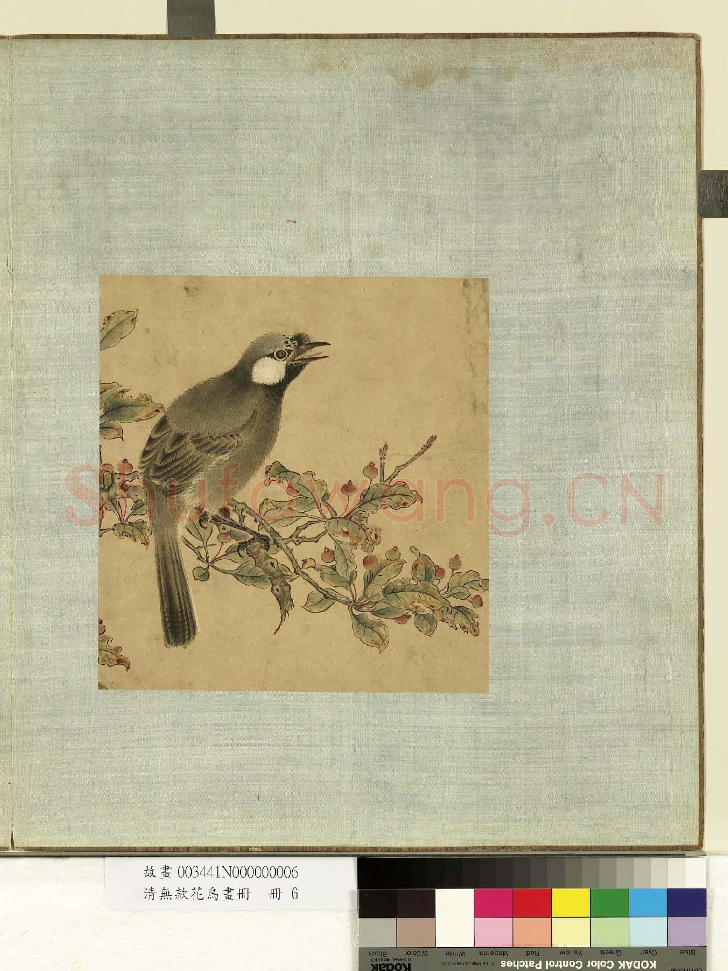 清無款花鳥畫