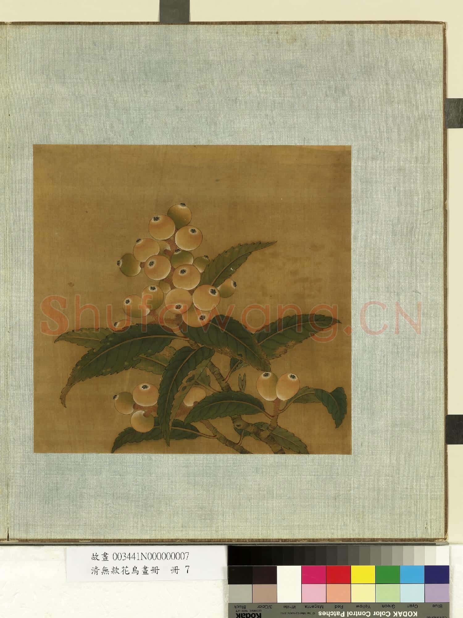 清無款花鳥畫