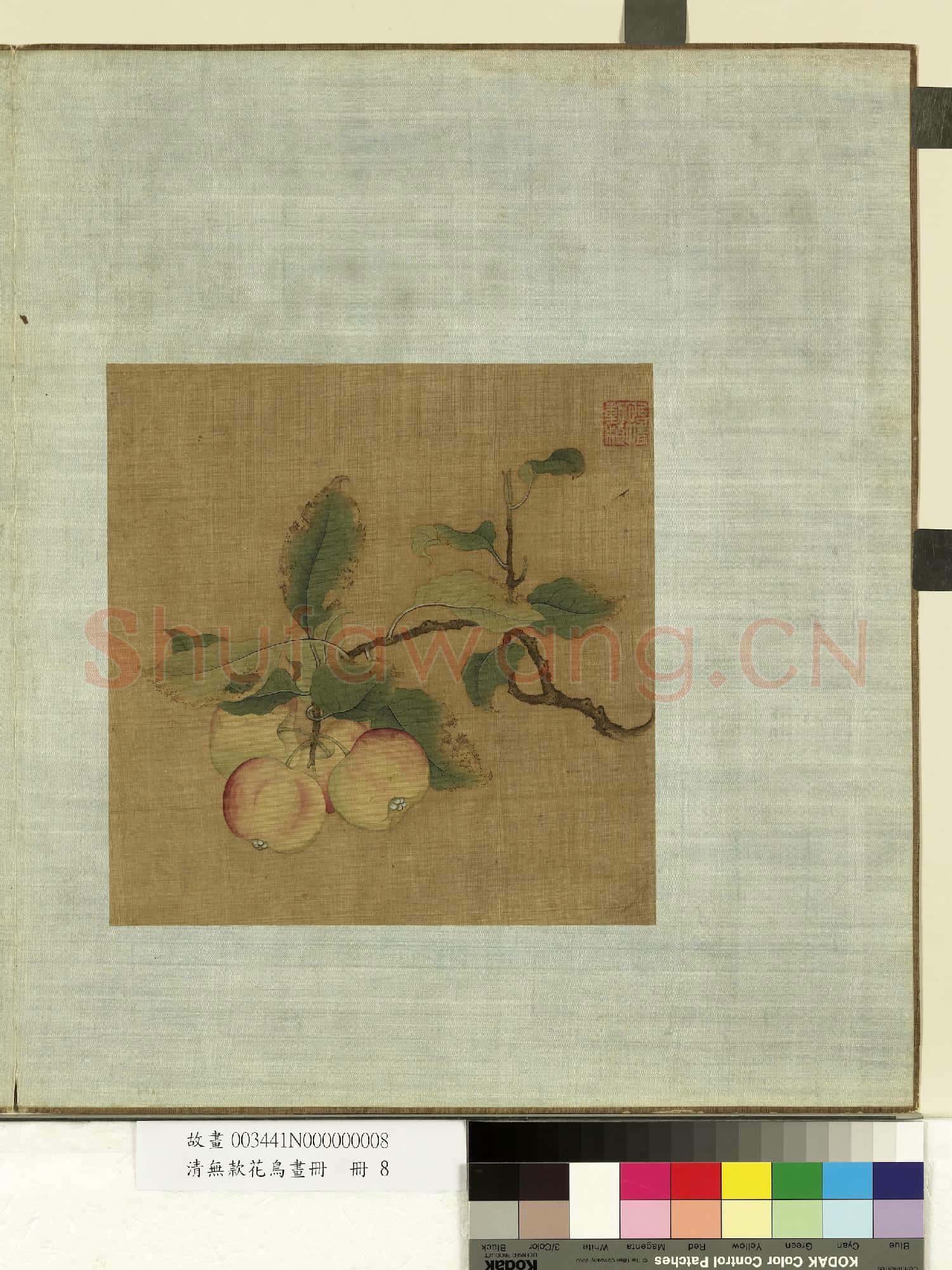 清無款花鳥畫