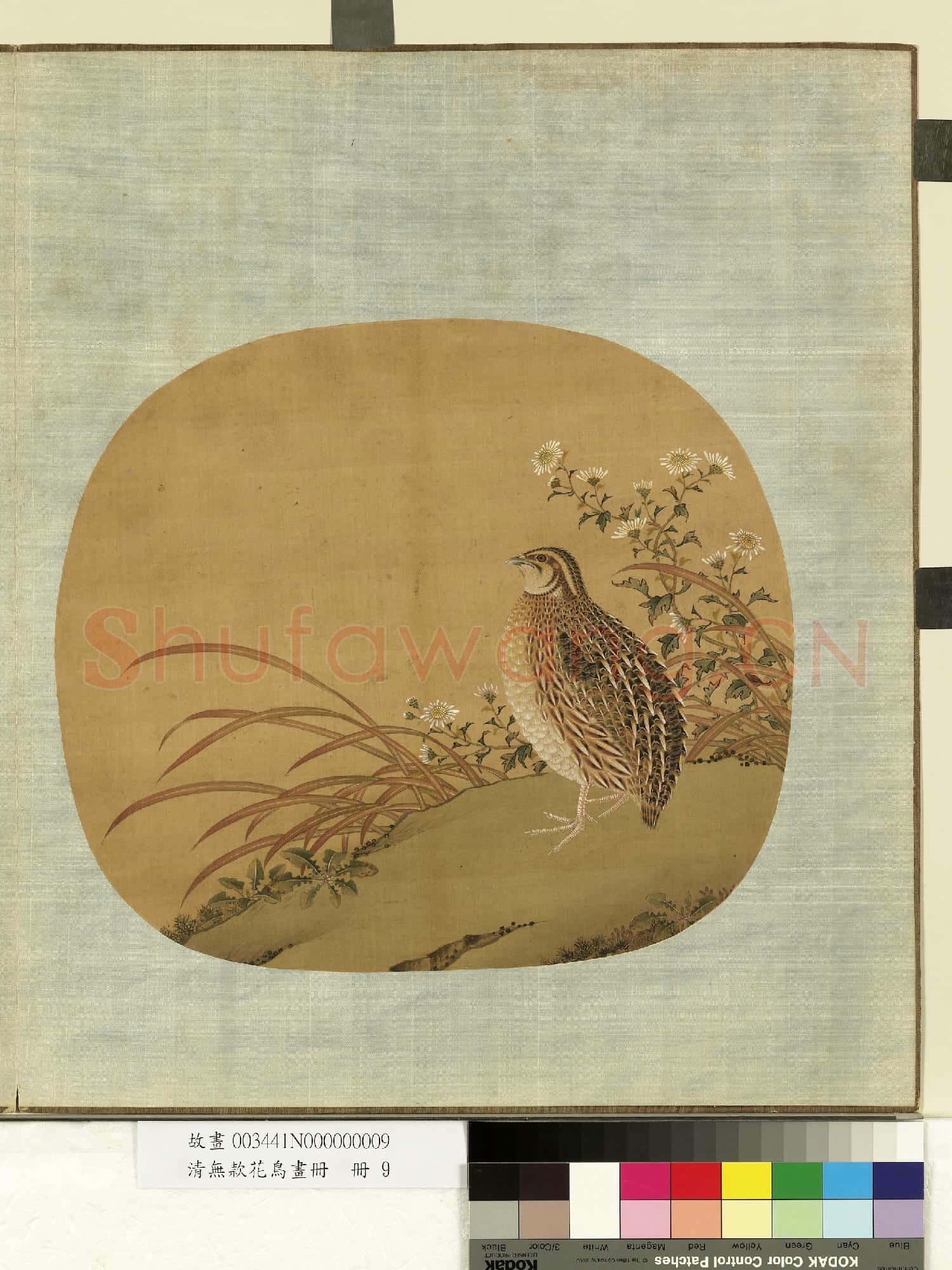 清無款花鳥畫