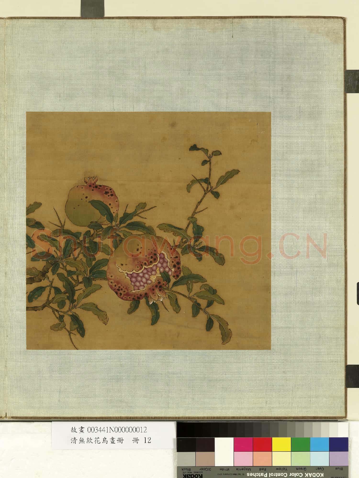 清無款花鳥畫