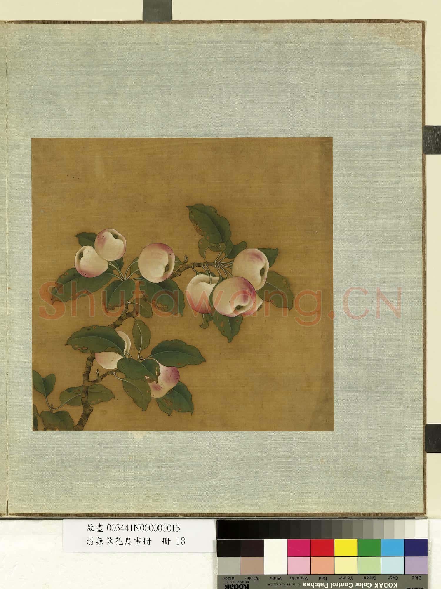 清無款花鳥畫