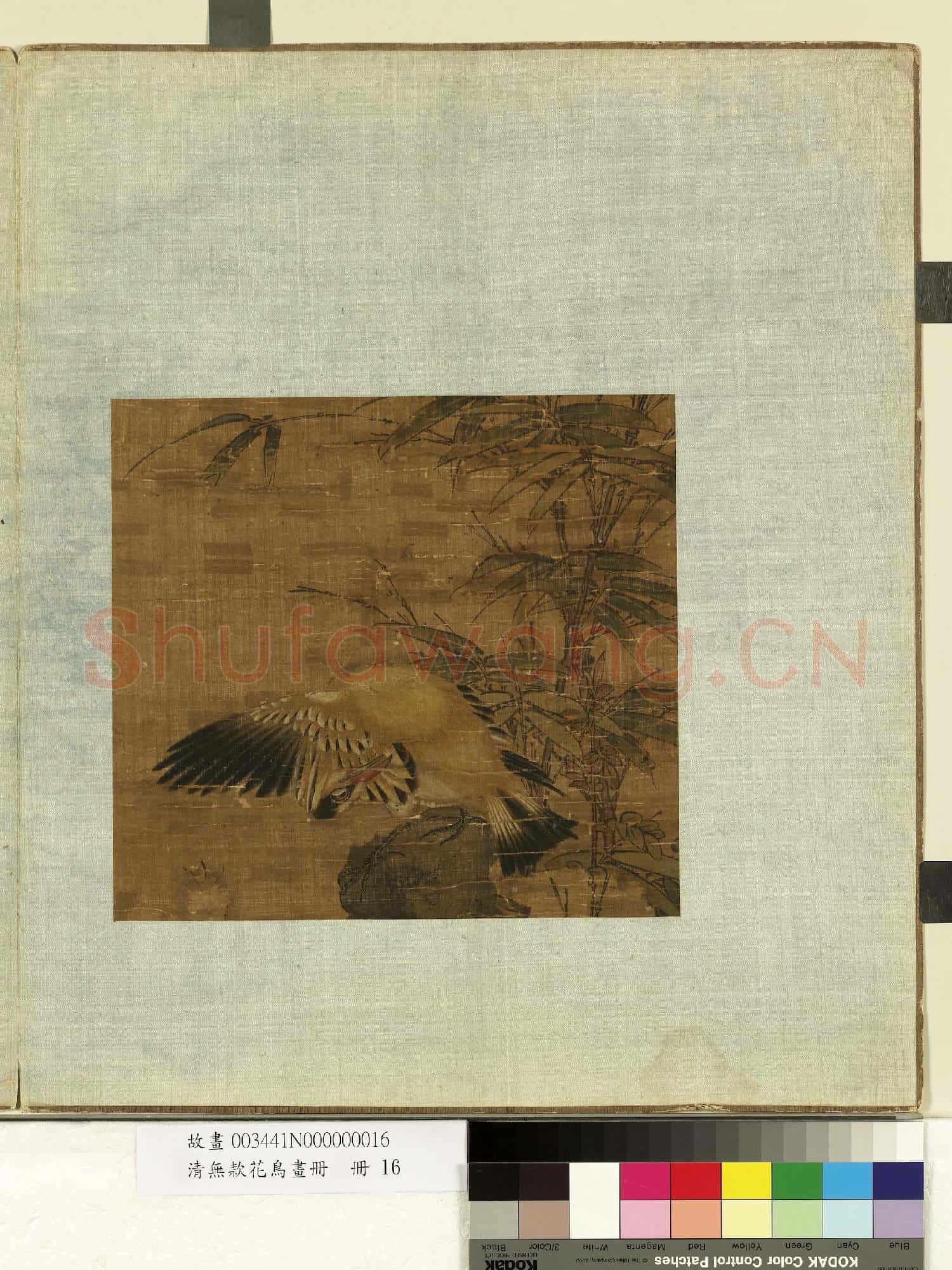 清無款花鳥畫