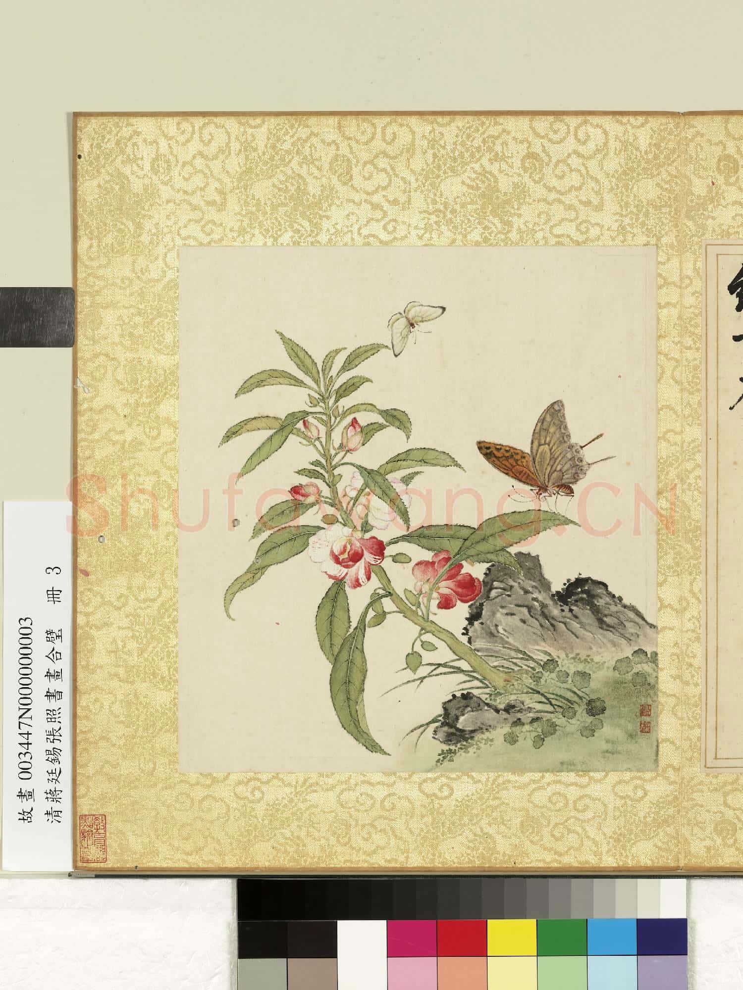 清蔣廷錫張照書