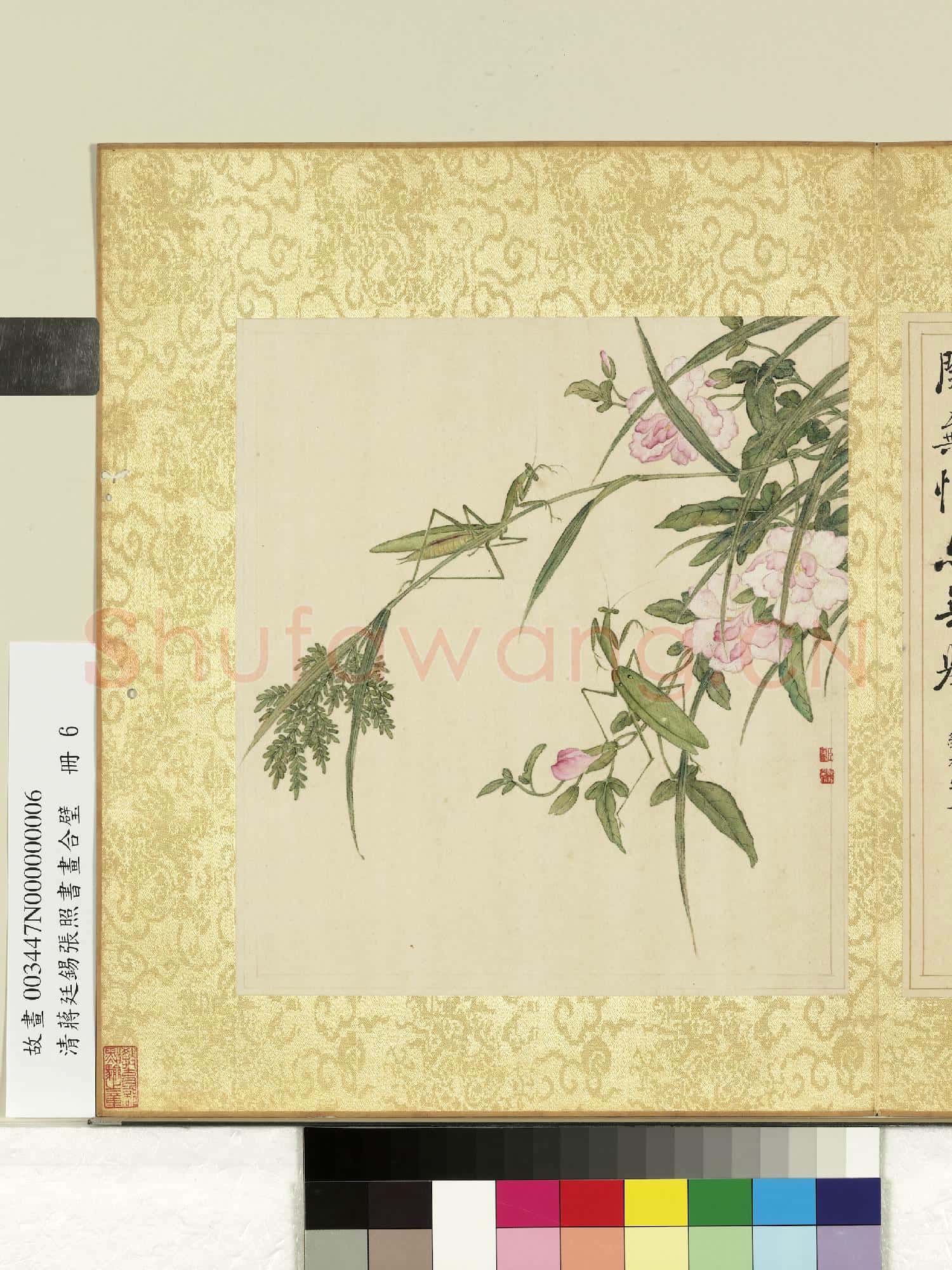 清蔣廷錫張照書