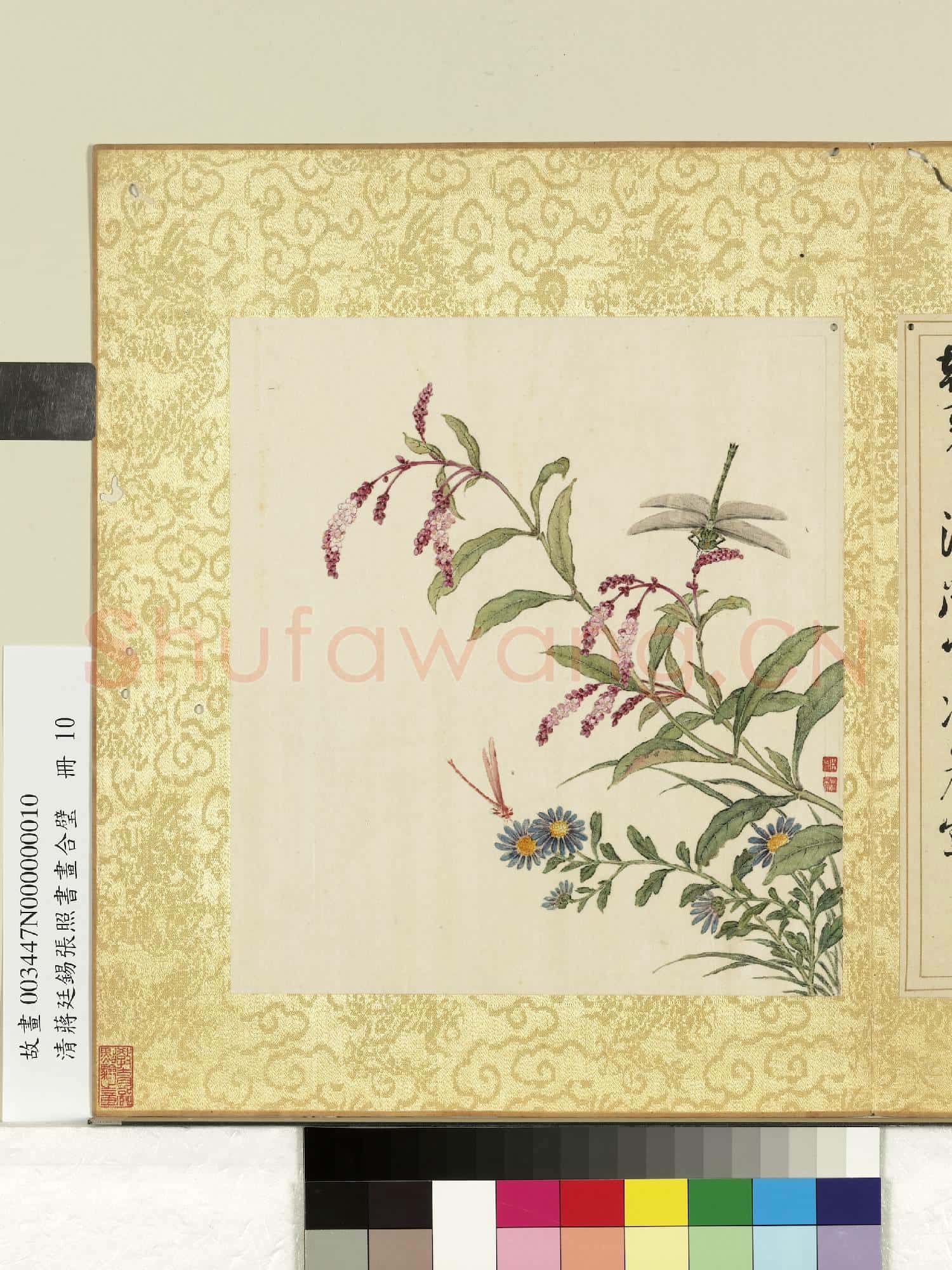 清蔣廷錫張照書