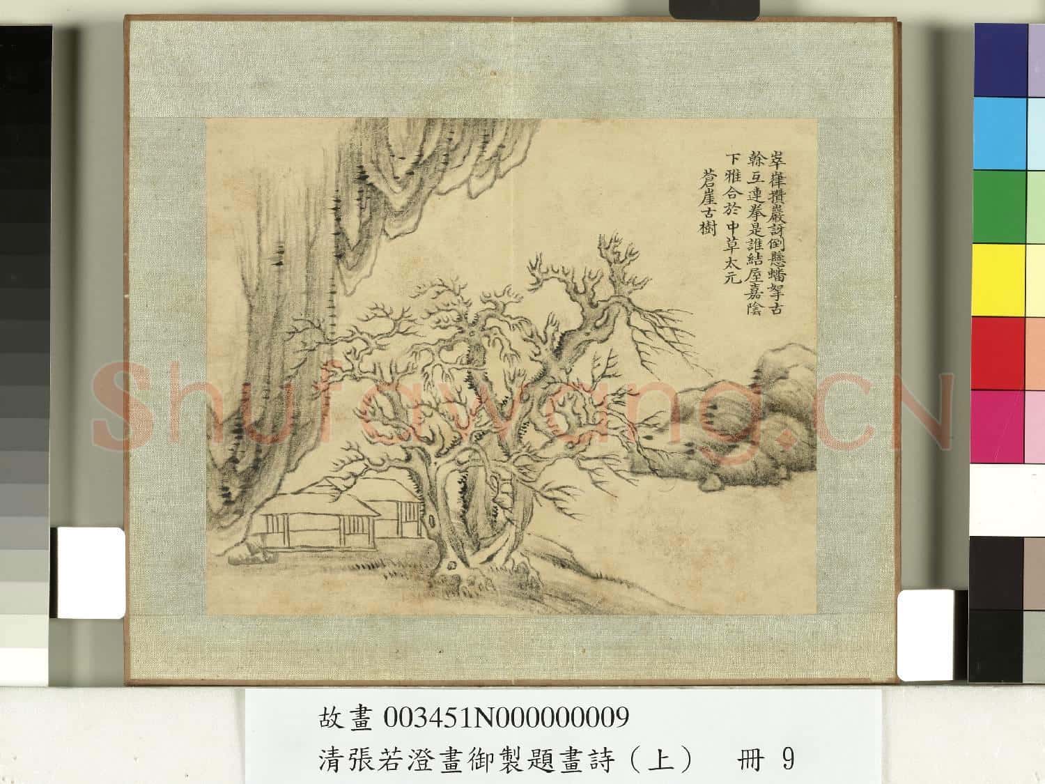 清張若澄畫