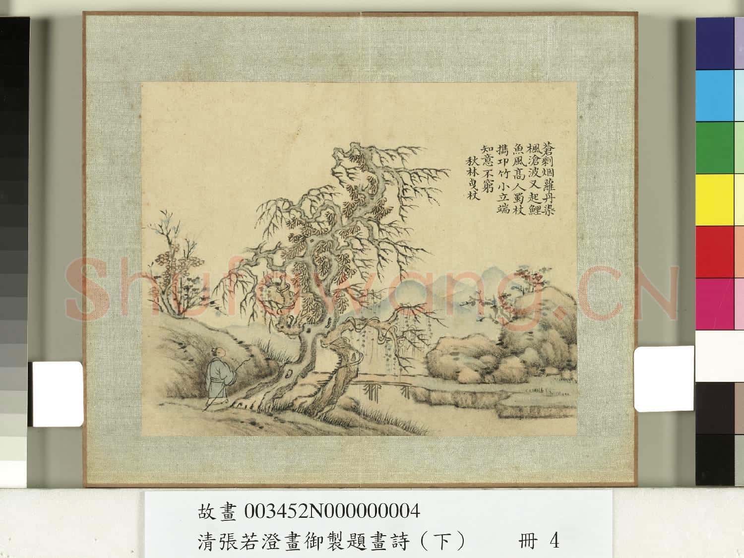 清張若澄畫