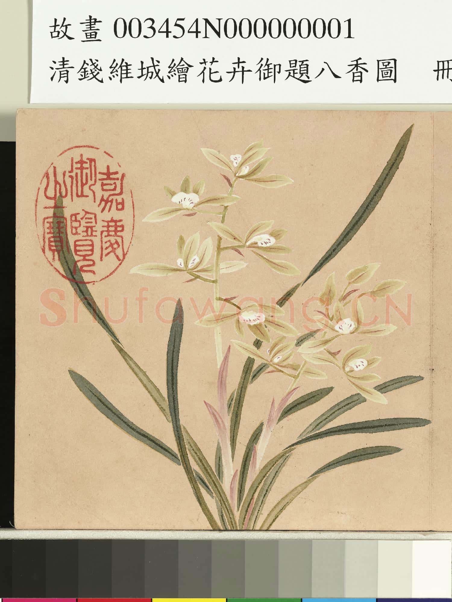清錢維城繪花卉御題八香圖.冊.蘭花故畫