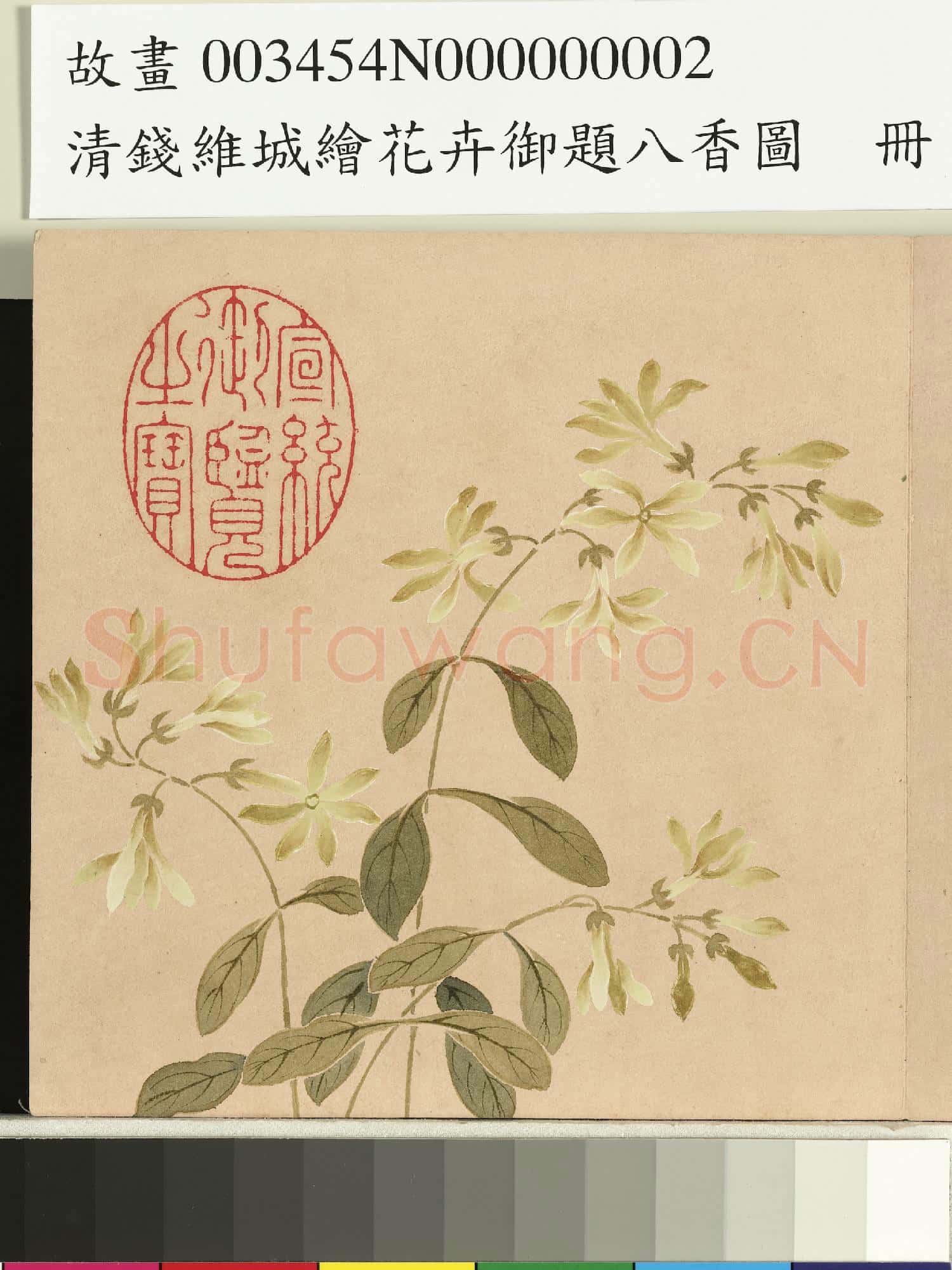 清錢維城繪花卉御題八香圖.冊.夜來香故畫