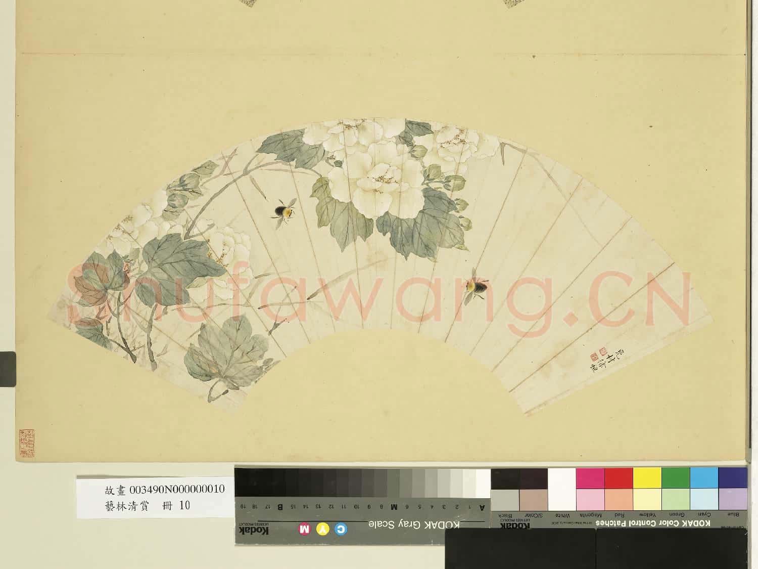 藝林清賞.冊.清徐恆蜜蜂芙蓉故畫