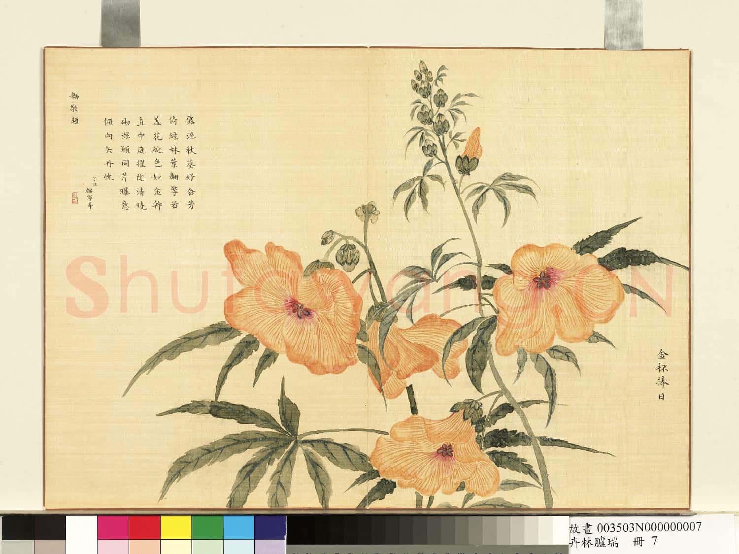 卉林臚瑞.冊.清人金杯捧日故畫