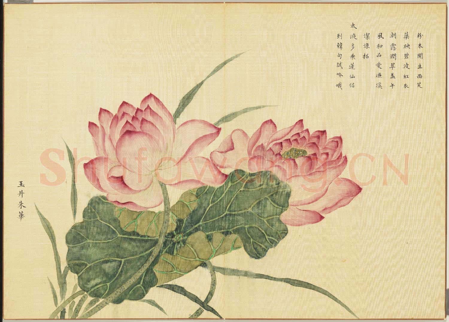 卉林臚瑞.冊.清人玉井朱華故畫