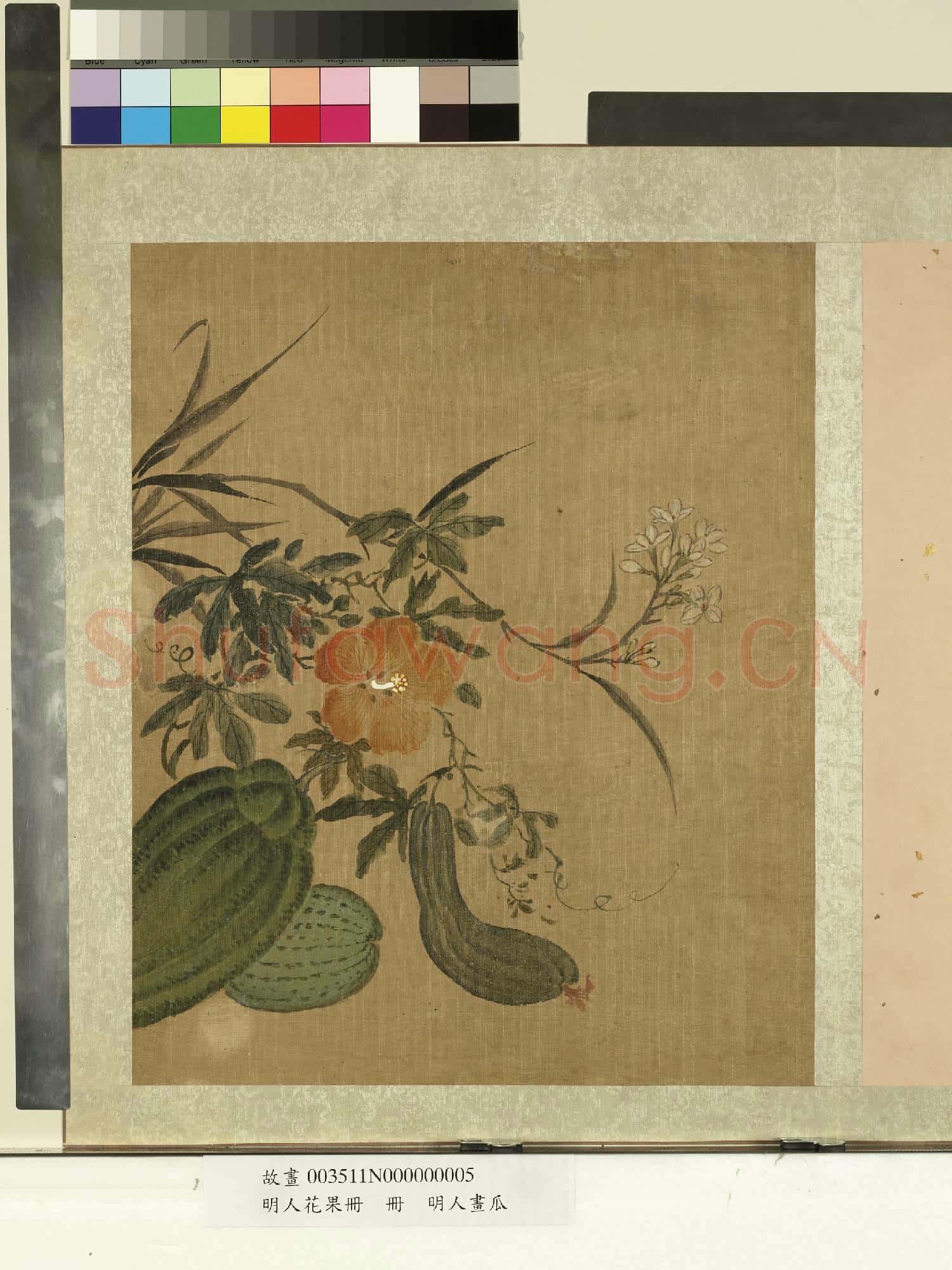 明人花果冊.冊.明人畫