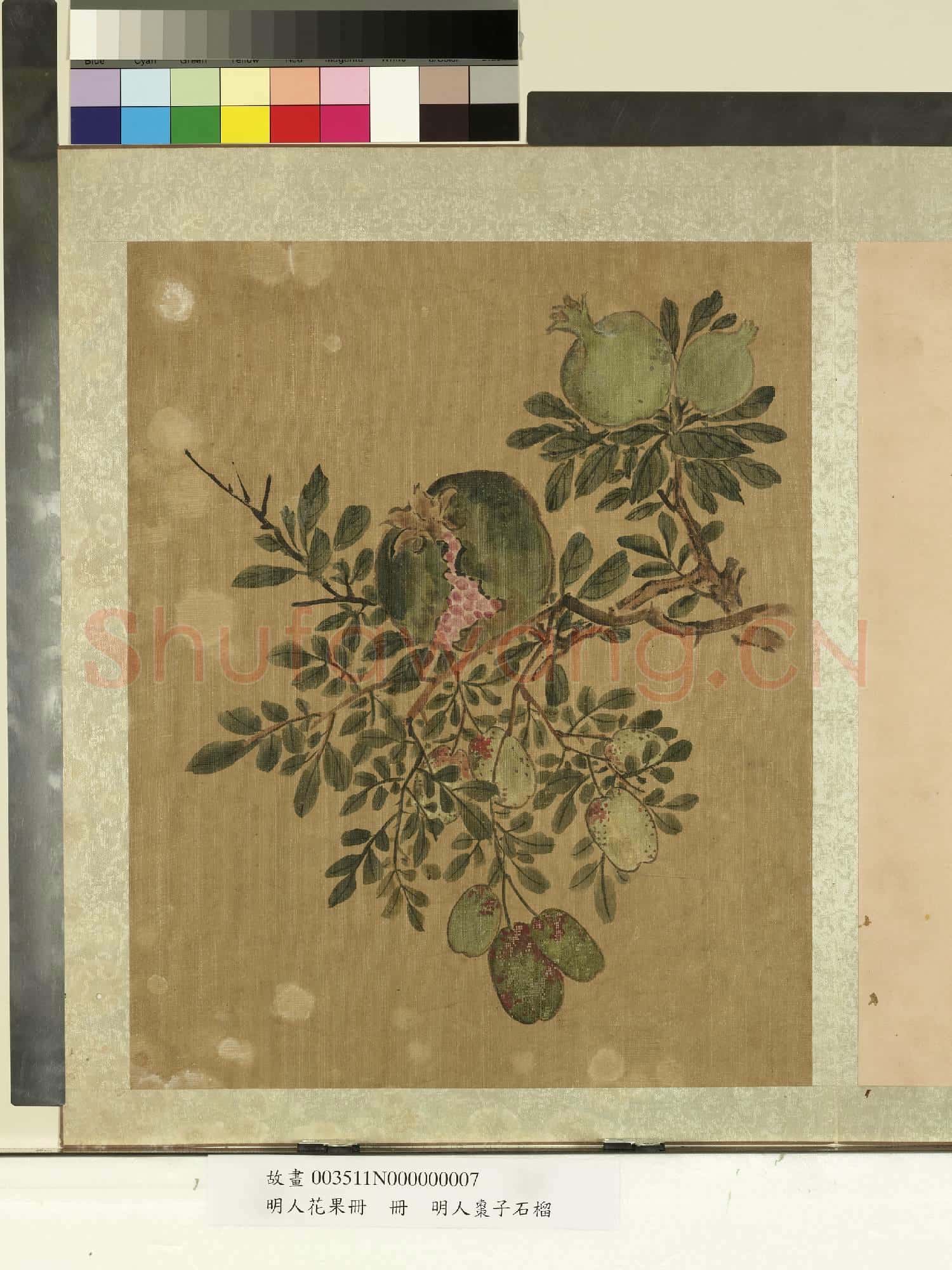 明人花果冊.冊.明人棗子石榴故畫