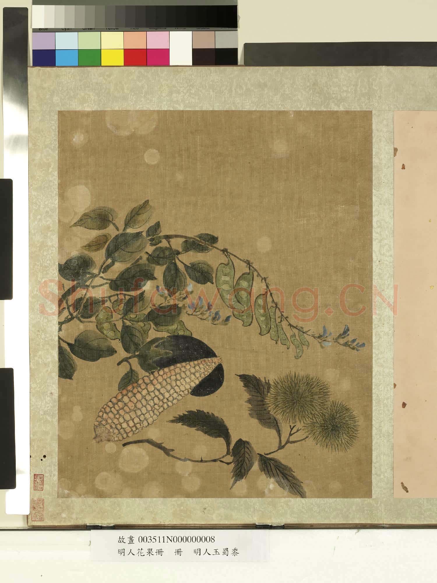 明人花果冊.冊.明人玉蜀黍故畫