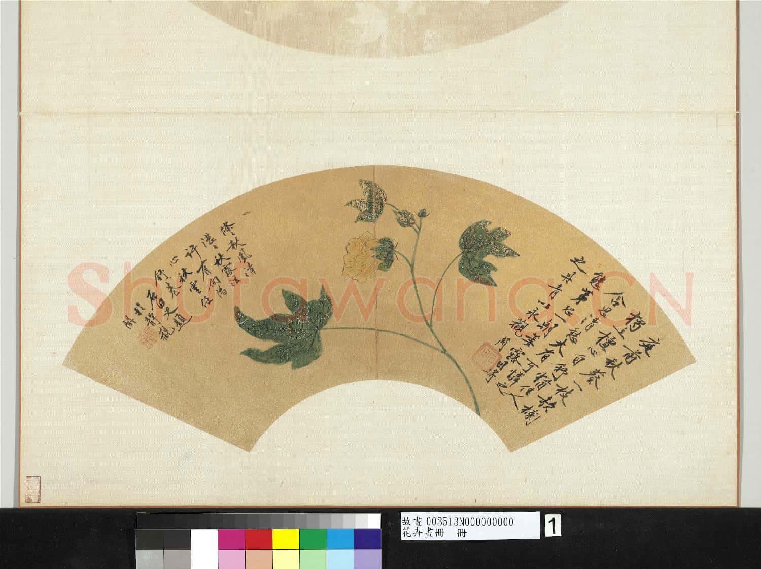 花卉畫