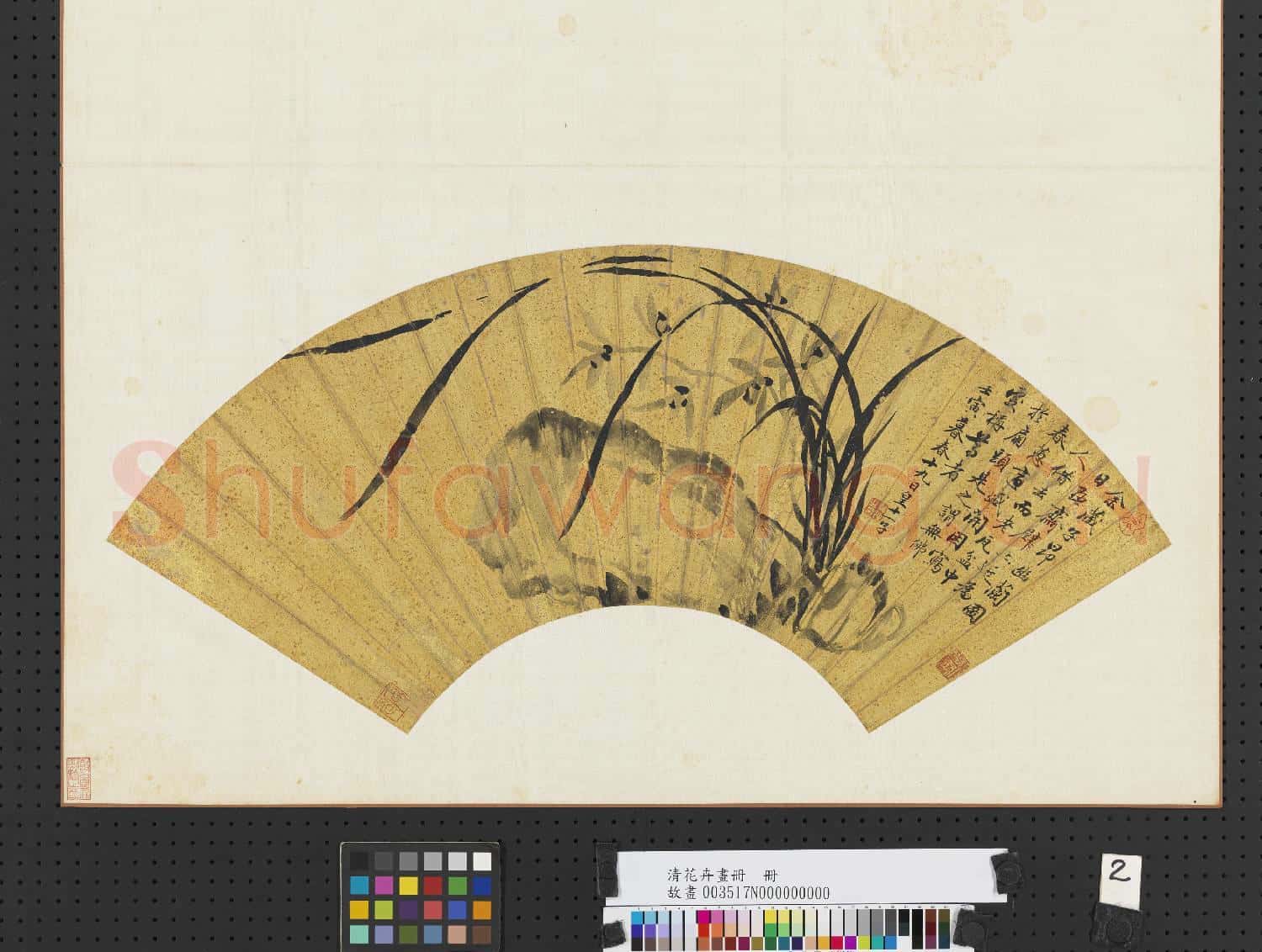 清花卉畫