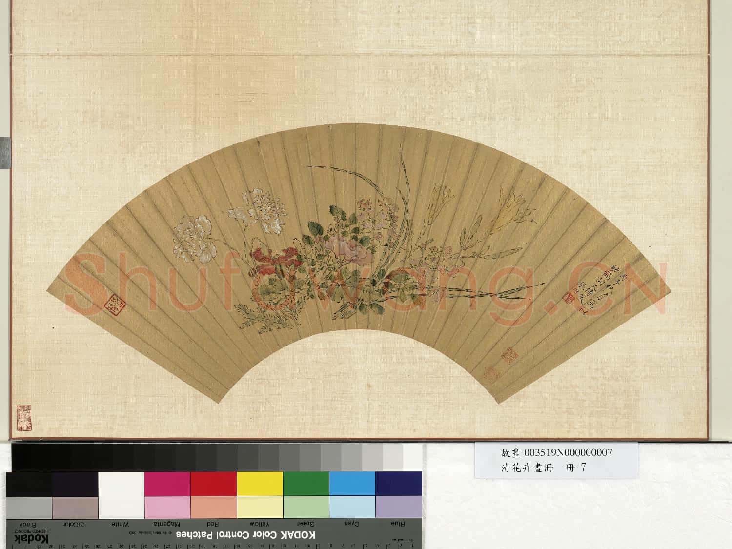 花卉畫