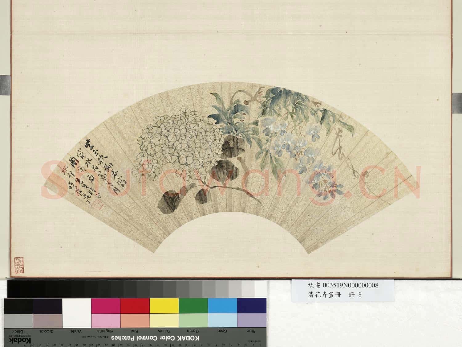 花卉畫