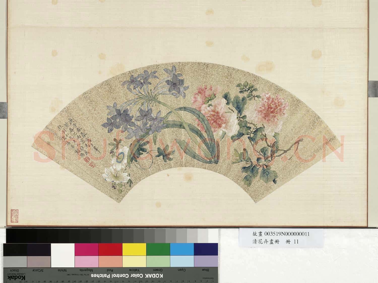 花卉畫