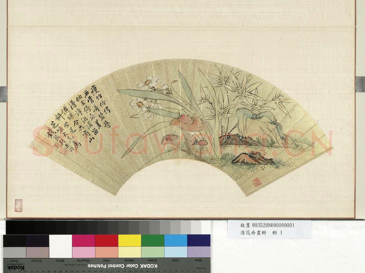 清花卉畫