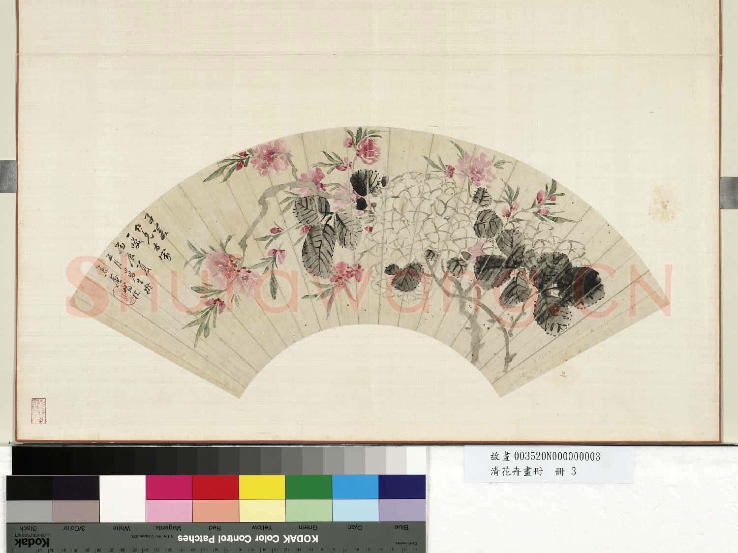 清花卉畫
