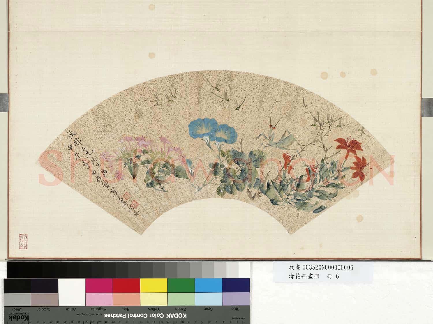 清花卉畫