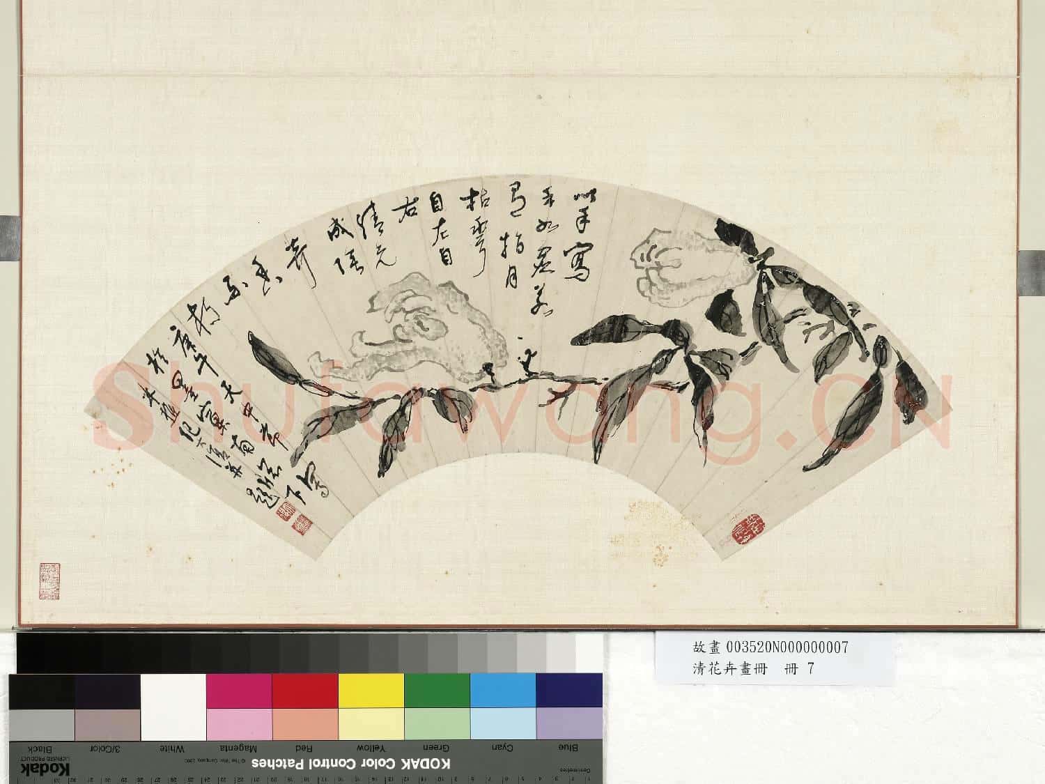清花卉畫