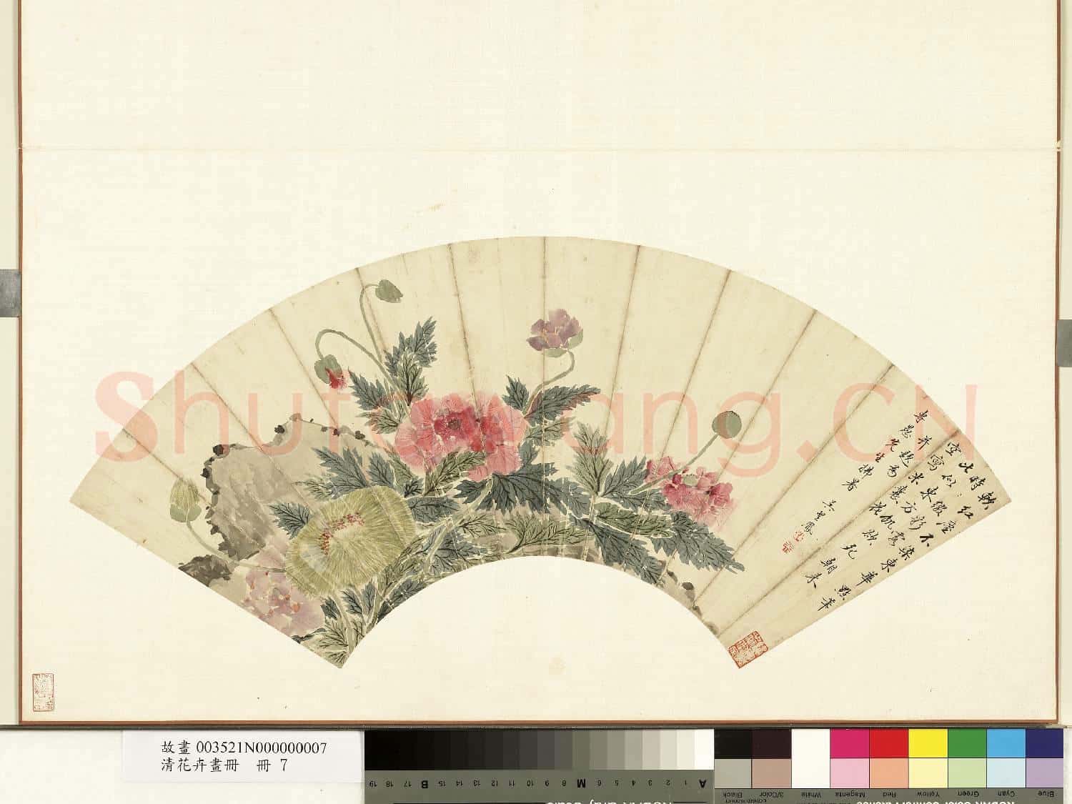 清花卉畫