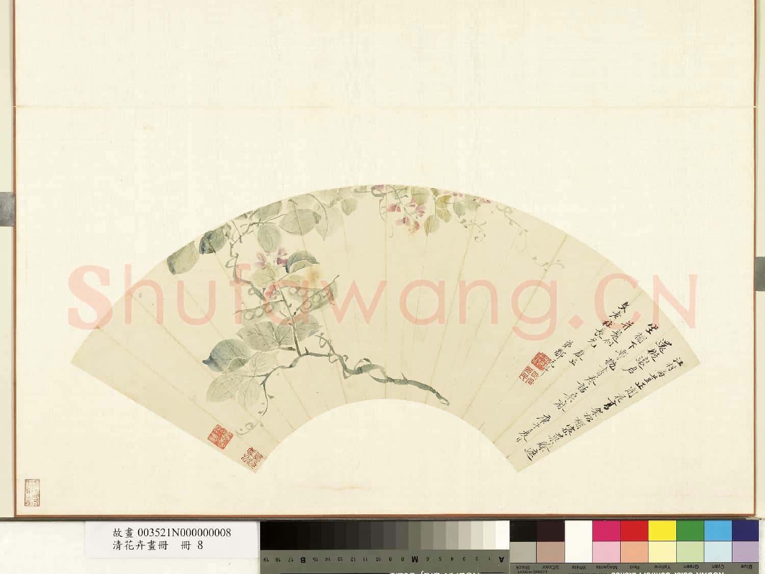 清花卉畫