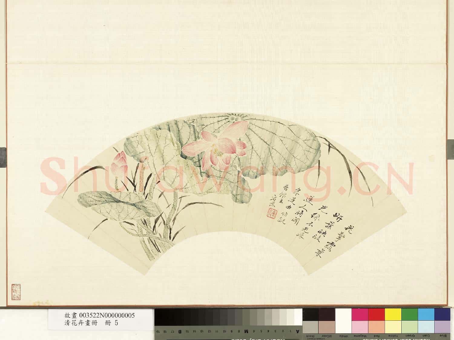 清花卉畫