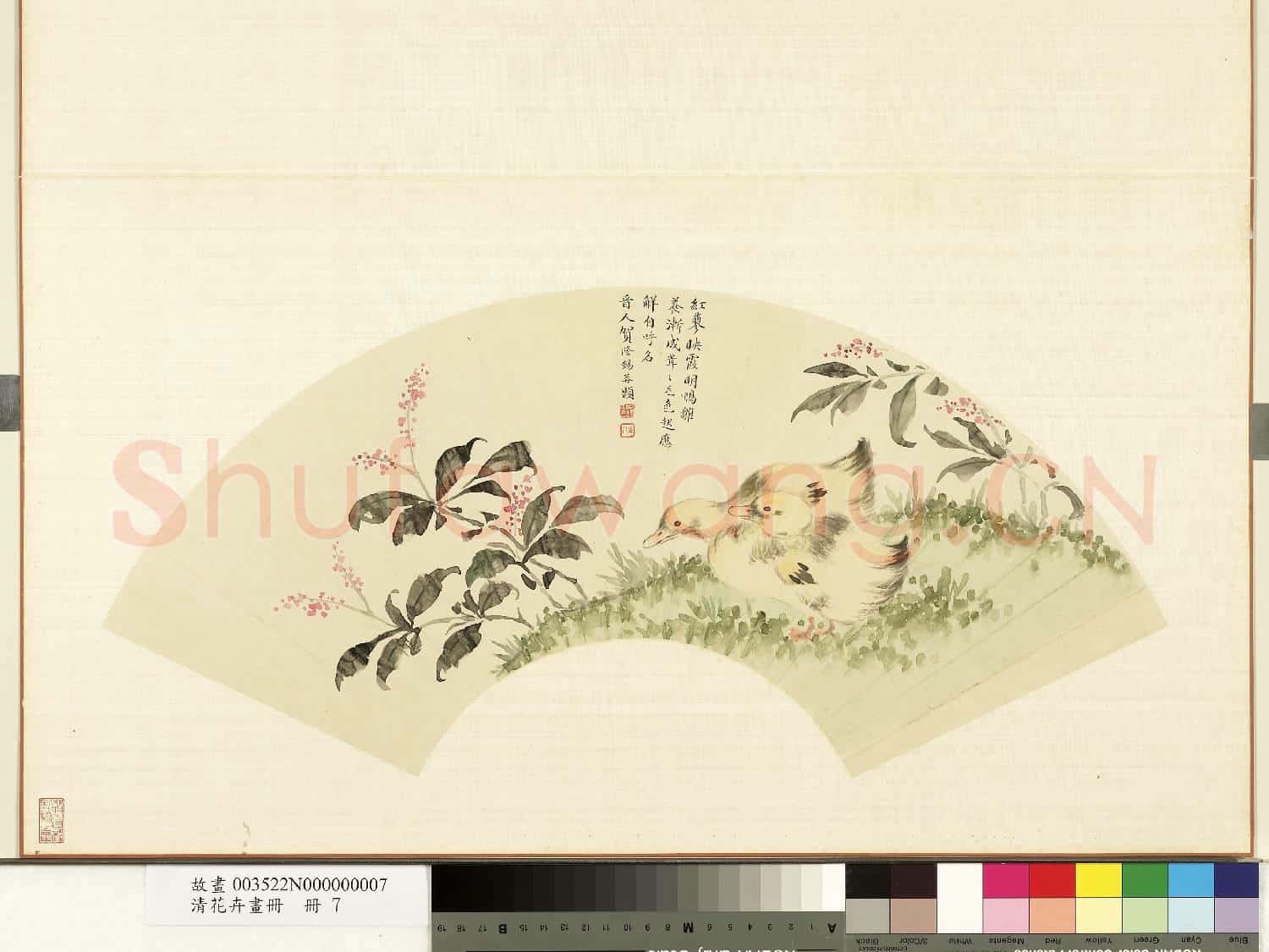 清花卉畫