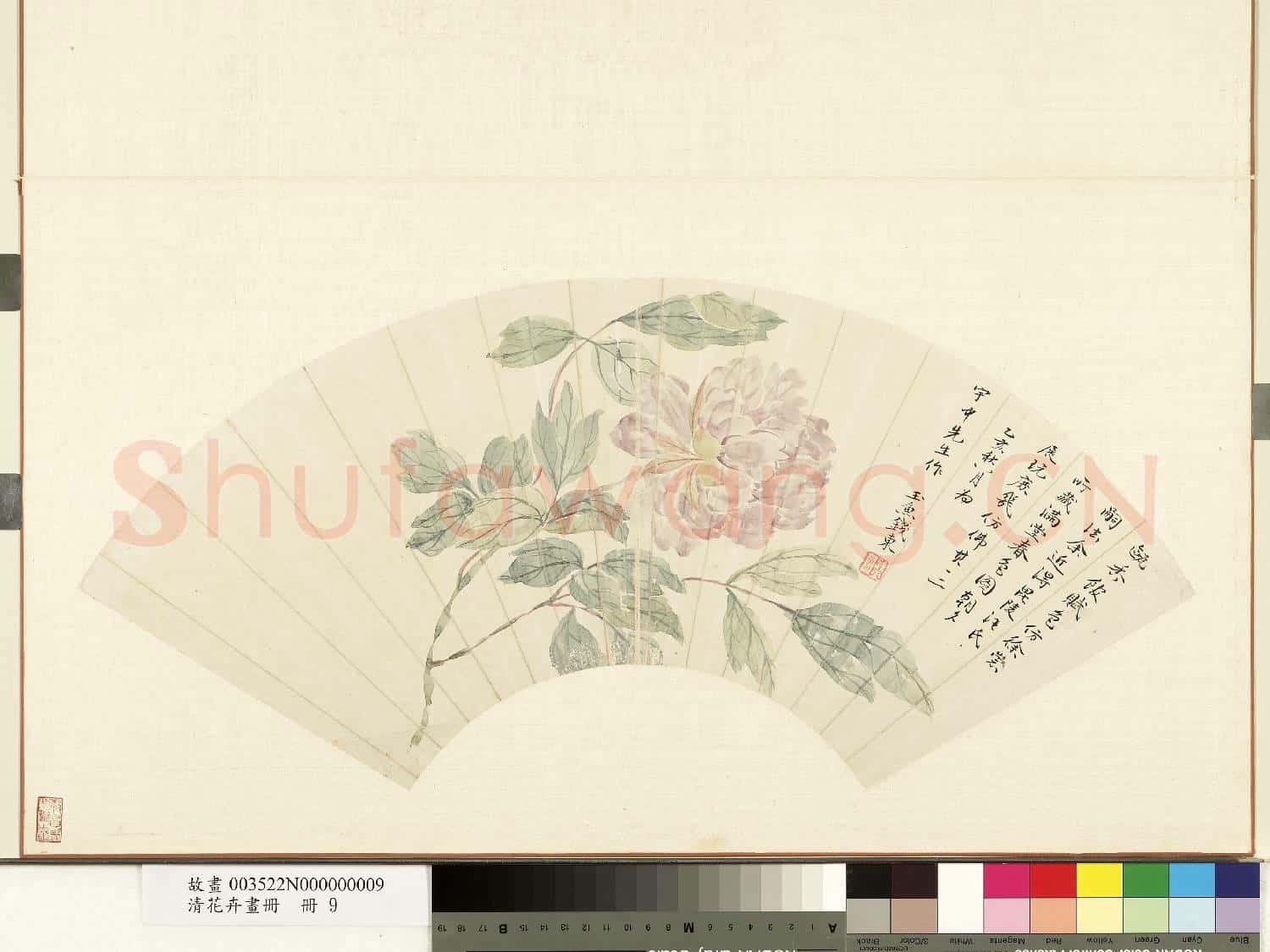 清花卉畫