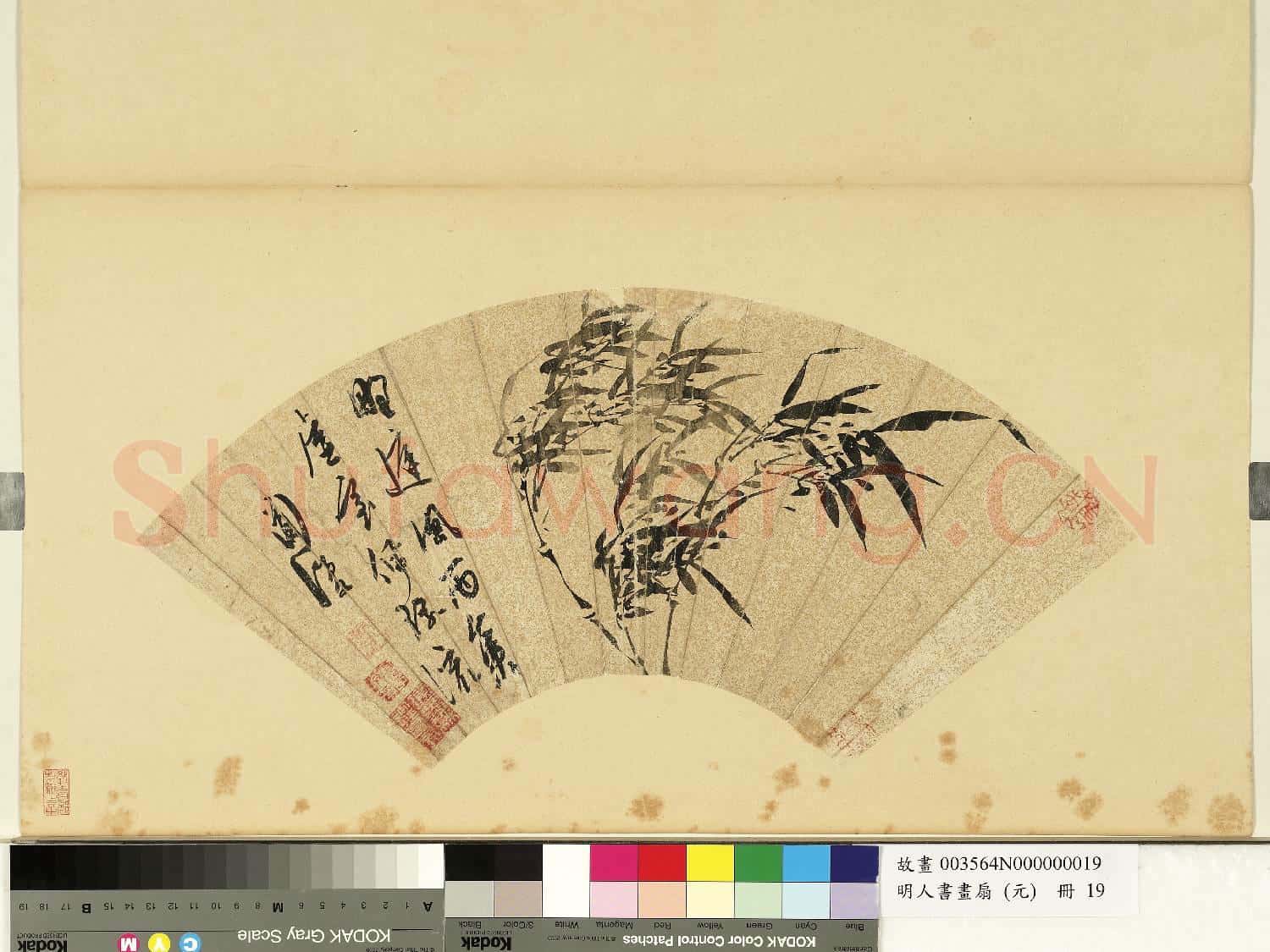 明人畫