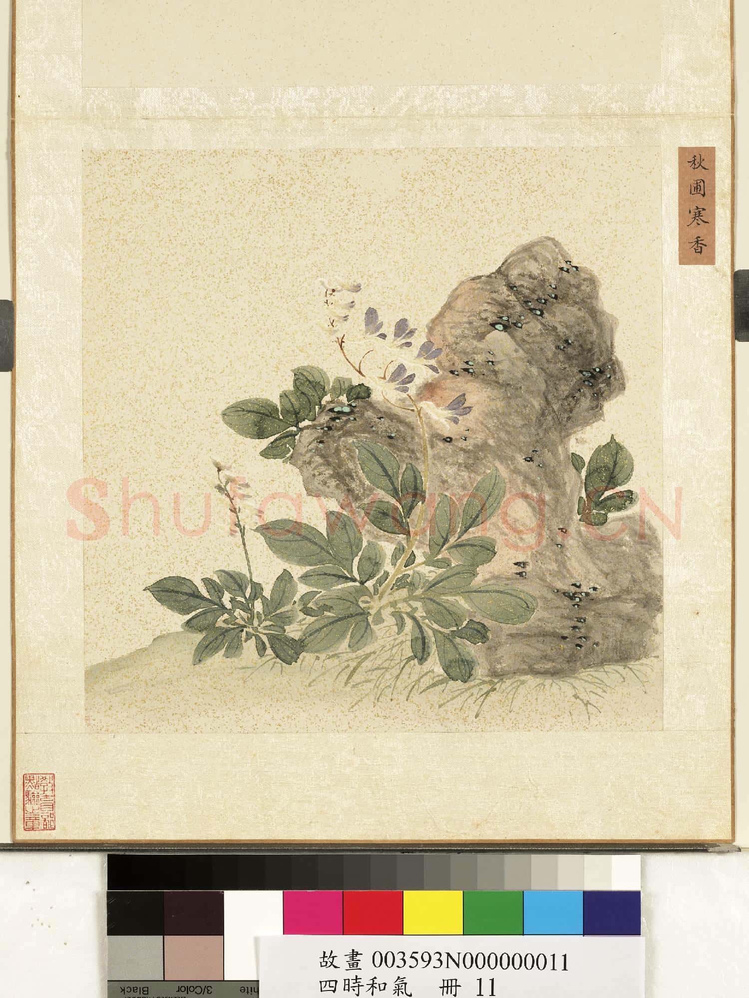 四時和氣.冊.秋圃寒香故畫