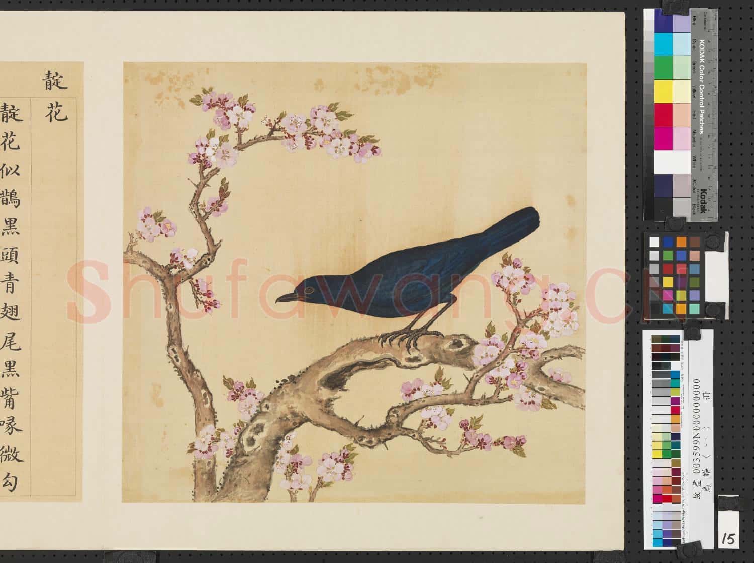鳥譜(一)冊.靛花故畫